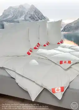 Matratzen Concord Serie Canada Angebot