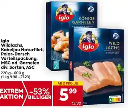 Billa Iglo Wildlachs, Kabeljau Naturfilet, Polar-Dorsch Vorteilspackung, MSC od. Garnelen Angebot