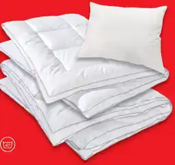 Matratzen Concord Serie Cotton Angebot