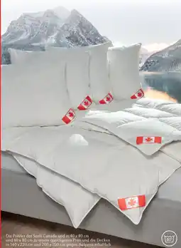 Matratzen Concord Serie Canada Angebot