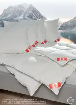 Matratzen Concord Serie Canada Angebot