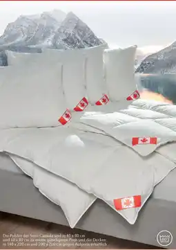 Matratzen Concord Serie Canada Angebot