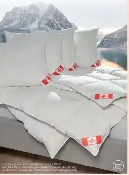 Matratzen Concord Serie Canada Angebot