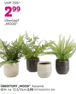 Mömax Übertopf MOOD Keramik Angebot