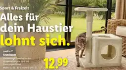 Lidl zoofari Kratzbaum Angebot