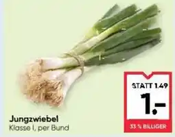 Maximarkt Jungzwiebel Angebot