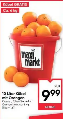Maximarkt 10 Liter Kübel mit Orangen Angebot