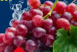 Lidl Tafeltrauben Angebot