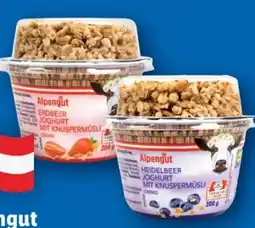 Lidl Alpengut Joghurt Angebot