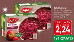 Eurospar Iglo Rotkraut Angebot