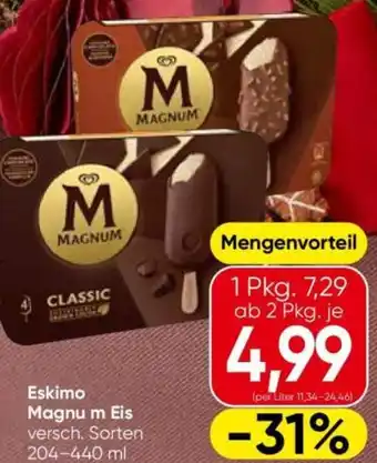 Eskimo Magnum Eis