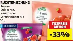 Hofer All Seasons Erdbeeren Früchtemischung Angebot