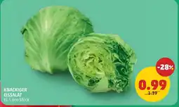 PENNY Knackiger eissalat Angebot