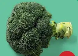 PENNY Echt Bio Brokkoli Angebot