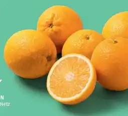 PENNY Echt Bio Orangen Angebot