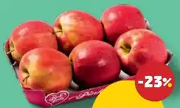 PENNY Pink Lady Äpfel Angebot