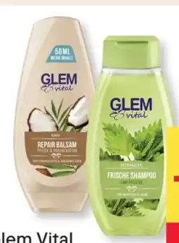 MPreis Schwarzkopf Glem Vital Shampoo Angebot