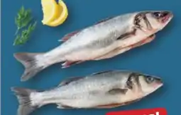 PENNY Wolfsbarsch Angebot