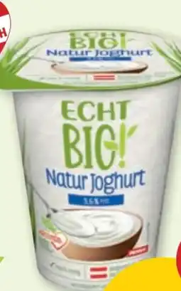 PENNY Echt Bio Naturjoghurt Angebot