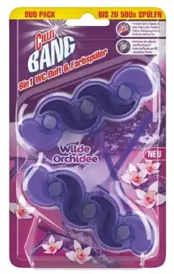 dm Cillit Bang WC-Stein Angebot