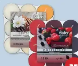 PENNY Hofer Duft-Teelichter Angebot