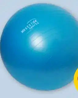 PENNY Gymnastikball Angebot