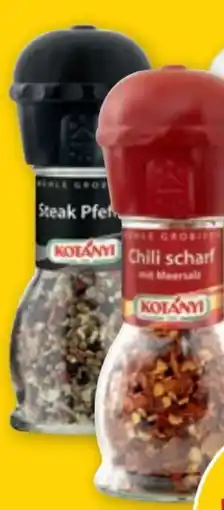 PENNY Kotányi Gewürzmühlen Angebot