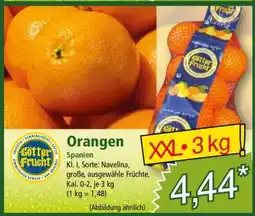Norma Orangen Angebot