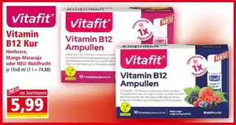 Norma Vitafit Vitamin B12 Ampullen Angebot