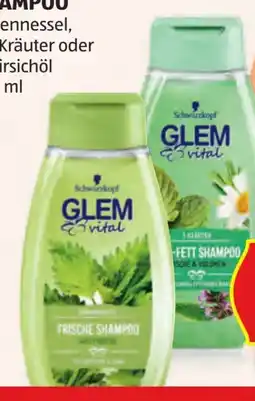 Hofer Schwarzkopf Glem Vital Shampoo Angebot