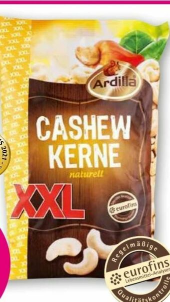Norma Cashew Kerne XXL Angebot