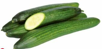 Transgourmet Gurken Angebot