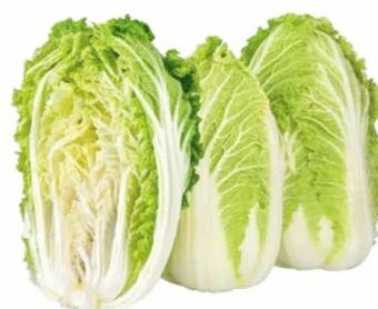 Transgourmet Chinakohl Angebot
