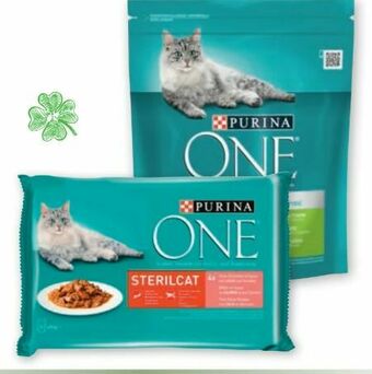PENNY One Katzennahrung Angebot