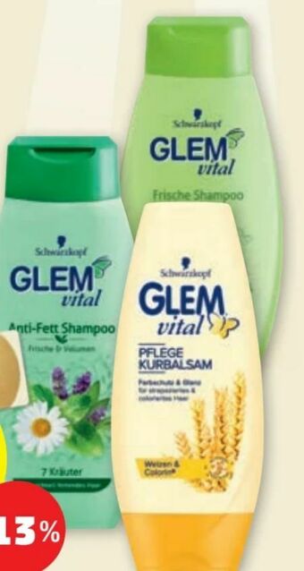 PENNY Glem Vital Shampoo Angebot