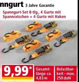 Norma Ratschen-Spanngurt Angebot