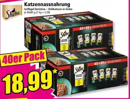 Norma Katzennassnahrung Angebot