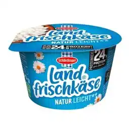Billa Schärdinger Landfrischkäse Angebot