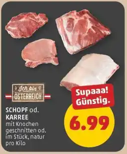 PENNY SCHOPF od. KARREE Angebot