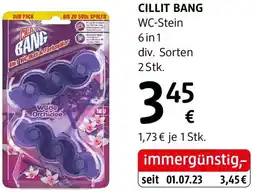 dm Cillit bang wc-stein 6in1 Angebot