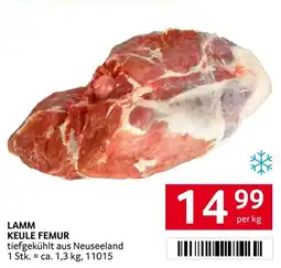 Transgourmet Lamm keule femur Angebot