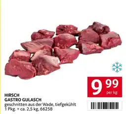 Transgourmet Hirsch gastro gulasch Angebot