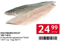 Transgourmet WOLFSBARSCHFILET Angebot