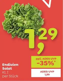 ADEG Endivien Salat Angebot