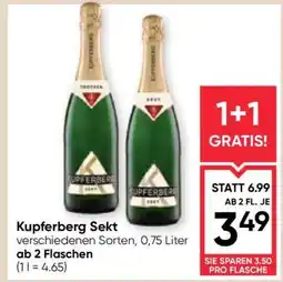 Maximarkt Kupferberg Sekt Angebot