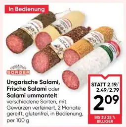 Maximarkt Ungarische Salami, Frische Salami oder Salami ummantelt Angebot