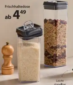 NKD Frischhaltedose Angebot