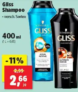 Thomas Philipps Gllss Shampoo Angebot