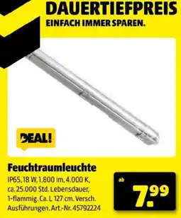 Hagebau Feuchtraumleuchte Angebot
