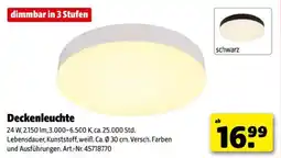 Hagebau Deckenleuchte Angebot